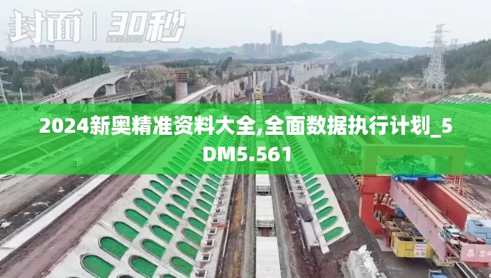 2024新奥精准资料大全,全面数据执行计划_5DM5.561