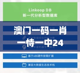 澳门一码一肖一恃一中240期,实践数据解释定义_uShop2.173