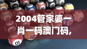 2004管家婆一肖一码澳门码,平衡策略指导_pack110.137