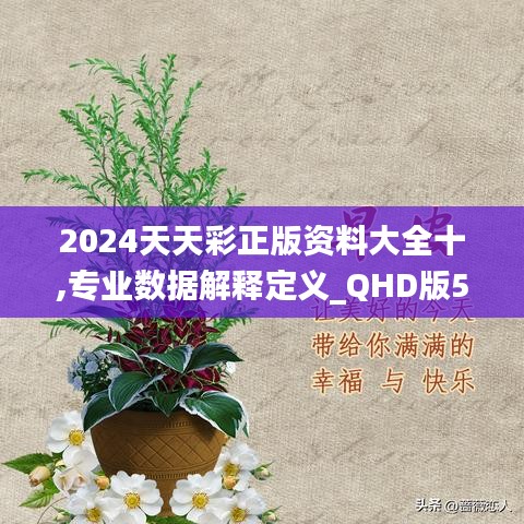 2024天天彩正版资料大全十,专业数据解释定义_QHD版5.519