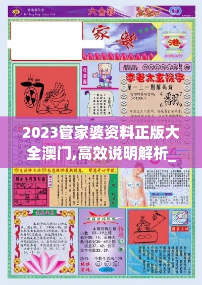 2023管家婆资料正版大全澳门,高效说明解析_SE版4.353