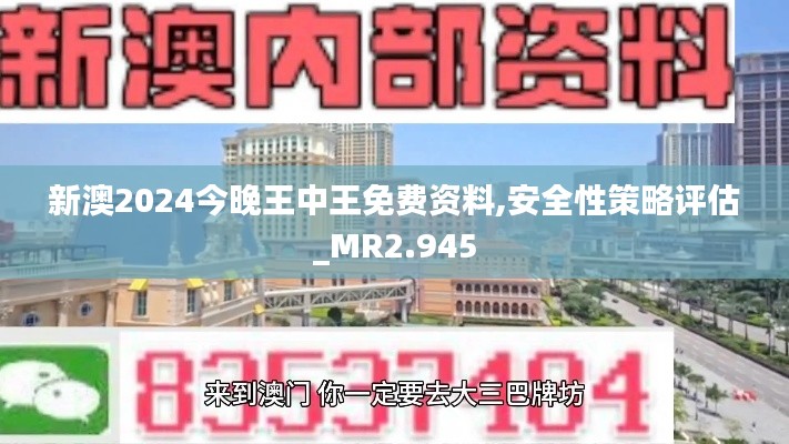 新澳2024今晚王中王免费资料,安全性策略评估_MR2.945