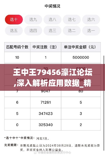 王中王79456濠江论坛,深入解析应用数据_精英版9.961