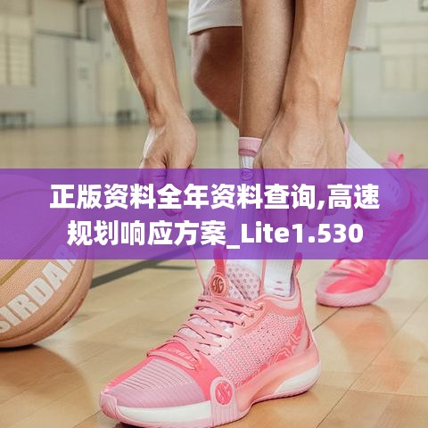 正版资料全年资料查询,高速规划响应方案_Lite1.530