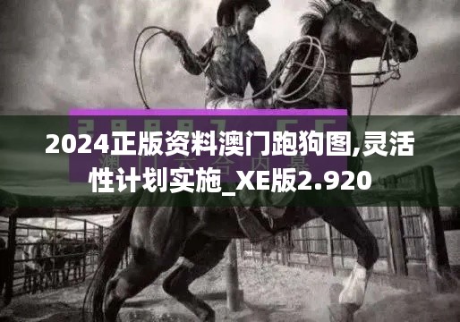 2024正版资料澳门跑狗图,灵活性计划实施_XE版2.920