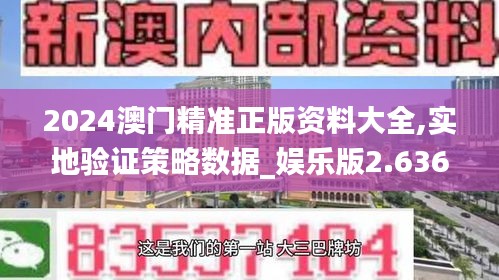 2024澳门精准正版资料大全,实地验证策略数据_娱乐版2.636