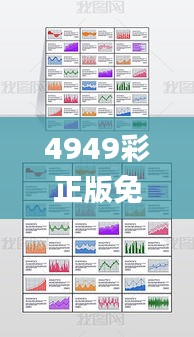 4949彩正版免费资料,平衡实施策略_XP17.411