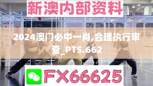 2024澳门必中一肖,合理执行审查_PT5.662