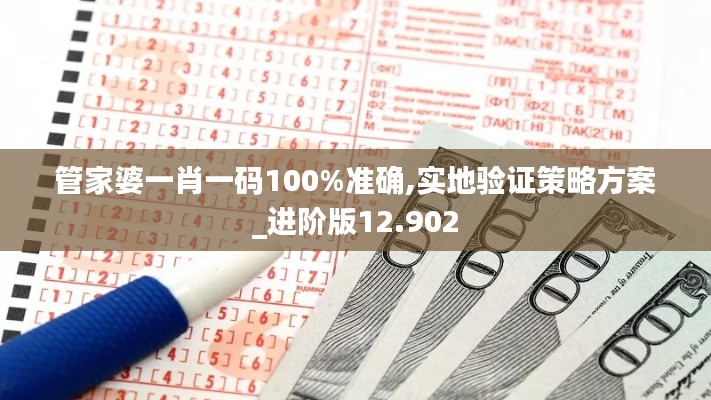 管家婆一肖一码100%准确,实地验证策略方案_进阶版12.902