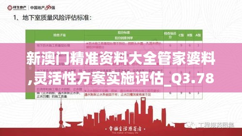 新澳门精准资料大全管家婆料,灵活性方案实施评估_Q3.786