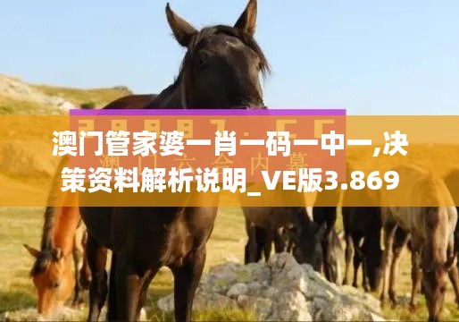 澳门管家婆一肖一码一中一,决策资料解析说明_VE版3.869