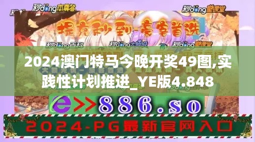 2024澳门特马今晚开奖49图,实践性计划推进_YE版4.848