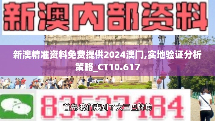 新澳精准资料免费提供2024澳门,实地验证分析策略_CT10.617