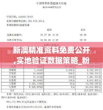 新澳精准资料免费公开,实地验证数据策略_粉丝版10.360