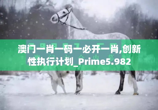 澳门一肖一码一必开一肖,创新性执行计划_Prime5.982