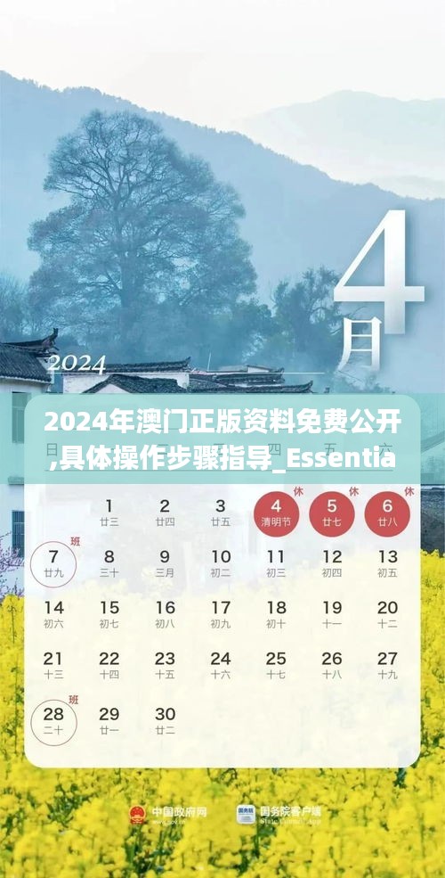 2024年澳门正版资料免费公开,具体操作步骤指导_Essential2.566