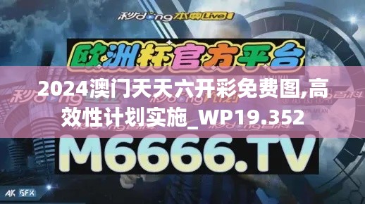 2024澳门天天六开彩免费图,高效性计划实施_WP19.352