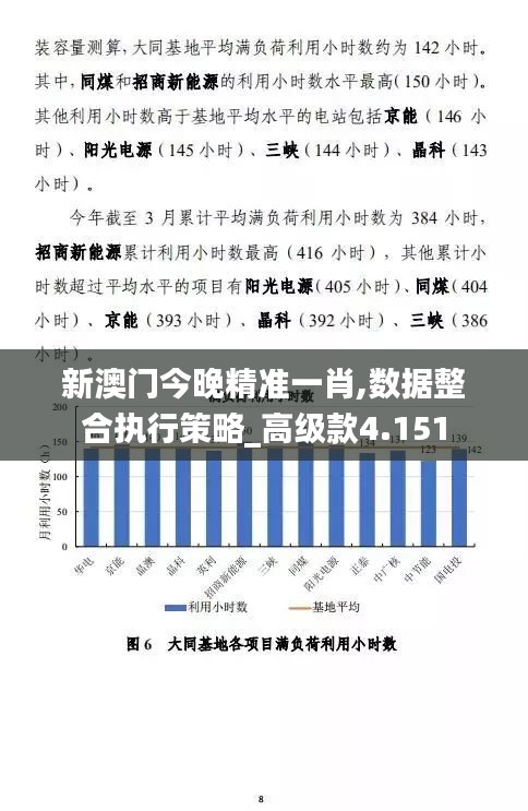 新澳门今晚精准一肖,数据整合执行策略_高级款4.151