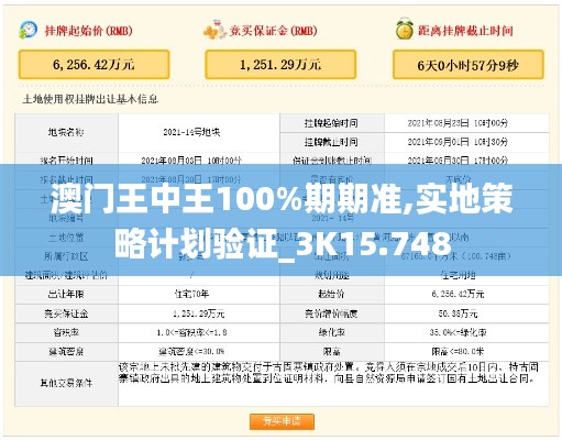 澳门王中王100%期期准,实地策略计划验证_3K15.748