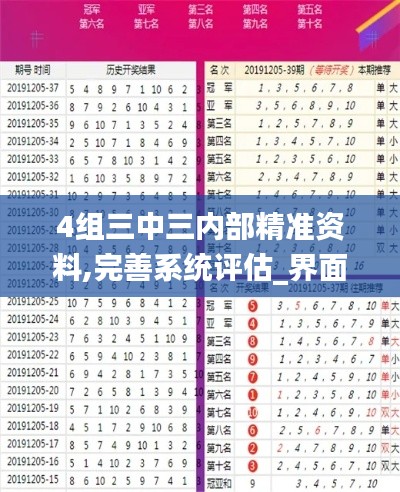 4组三中三内部精准资料,完善系统评估_界面版6.444