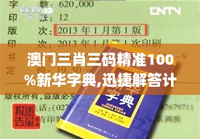 澳门三肖三码精准100%新华字典,迅捷解答计划落实_豪华款6.592