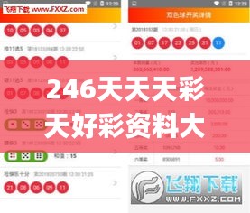 246天天天彩天好彩资料大全二四,快速落实方案响应_FT8.821