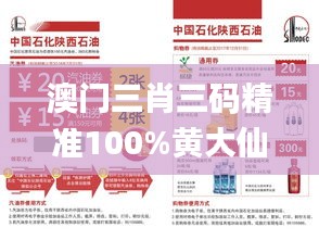 澳门三肖三码精准100%黄大仙,仿真技术方案实现_9DM7.387