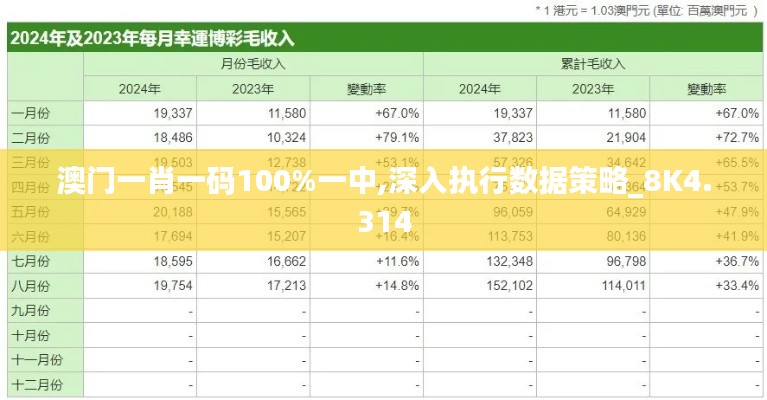 澳门一肖一码100%一中,深入执行数据策略_8K4.314