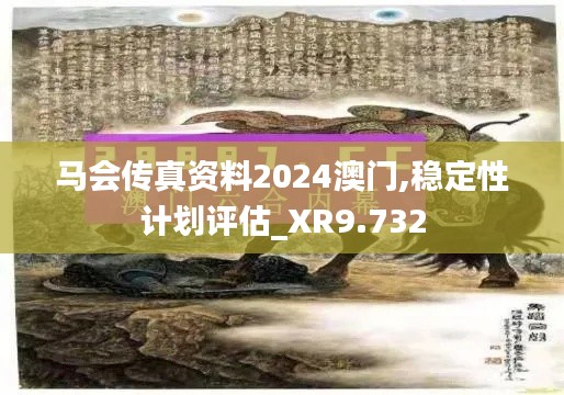 马会传真资料2024澳门,稳定性计划评估_XR9.732