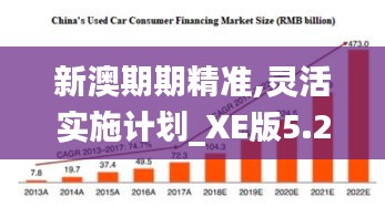 新澳期期精准,灵活实施计划_XE版5.269