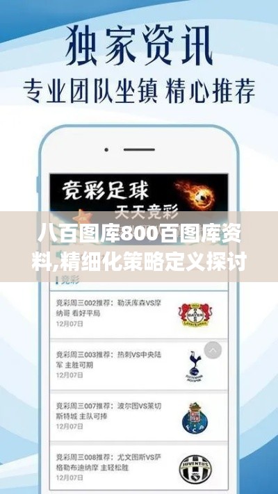 八百图库800百图库资料,精细化策略定义探讨_WP9.525