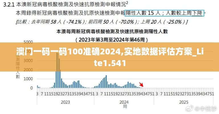 澳门一码一码100准确2024,实地数据评估方案_Lite1.541