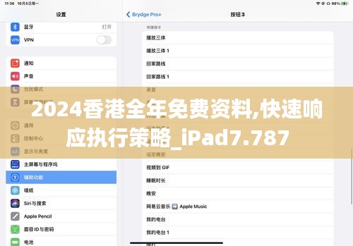 2024香港全年免费资料,快速响应执行策略_iPad7.787