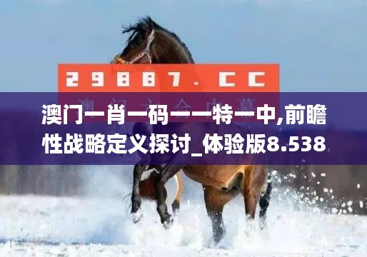 澳门一肖一码一一特一中,前瞻性战略定义探讨_体验版8.538